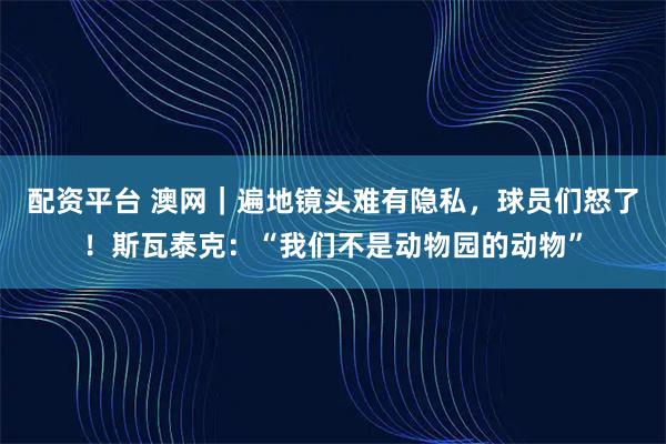 配资平台 澳网｜遍地镜头难有隐私，球员们怒了！斯瓦泰克：“我们不是动物园的动物”